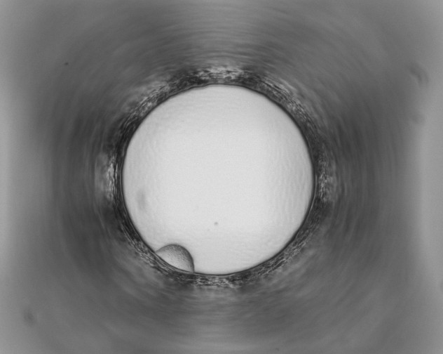X0000111450866200908031411