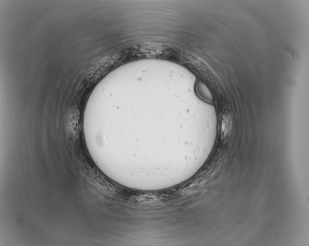 X0000111450867200908031411