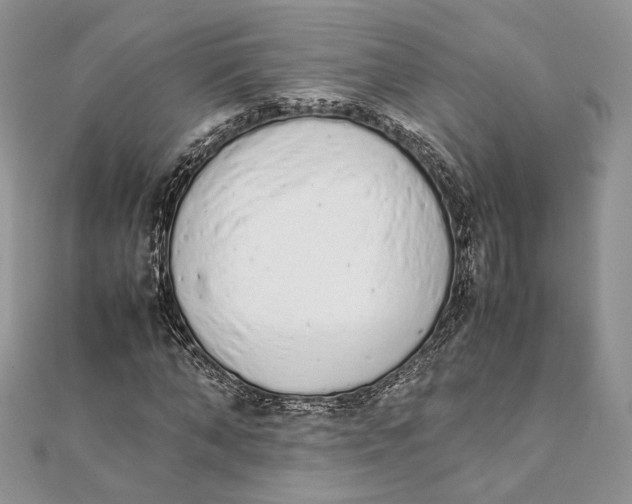 X0000111450870200908031411