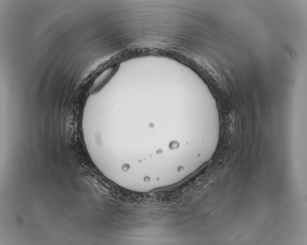 X0000111450872200908031411