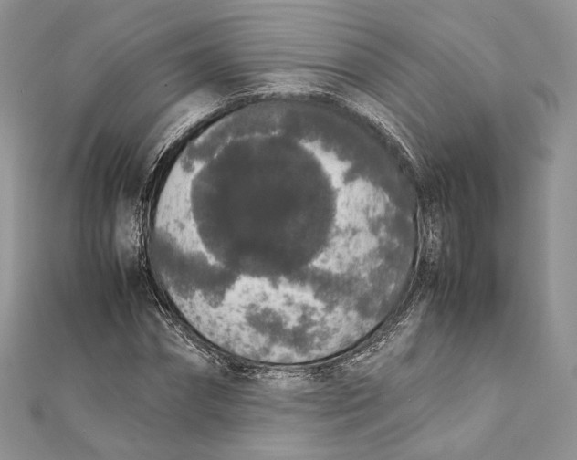 X0000111450874200908031411