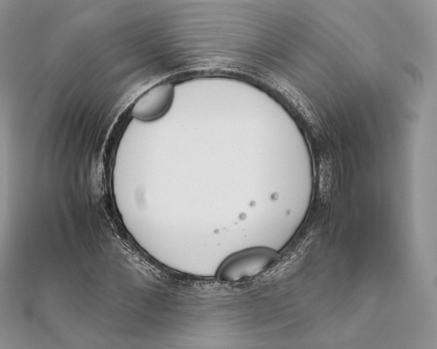 X0000111450876200908031411