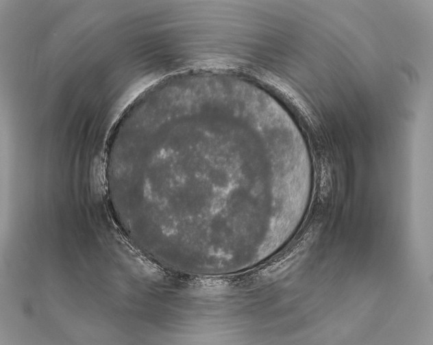 X0000111450878200908031411