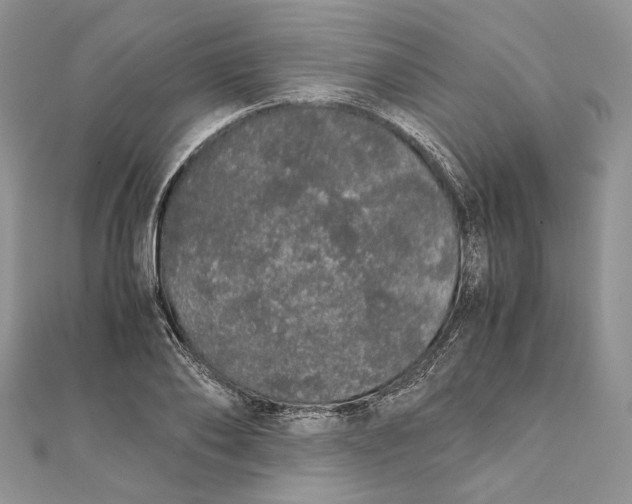 X0000111450886200908031411