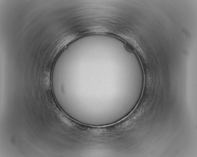 X0000111450889200908031411