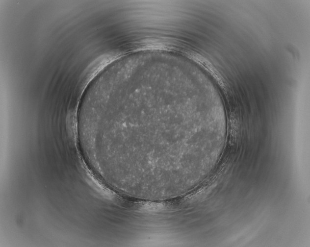 X0000111450890200908031411