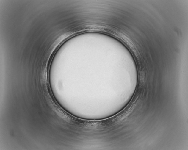 X0000111450891200908031411