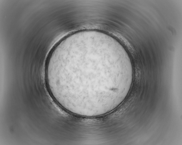 X0000111450894200908031411