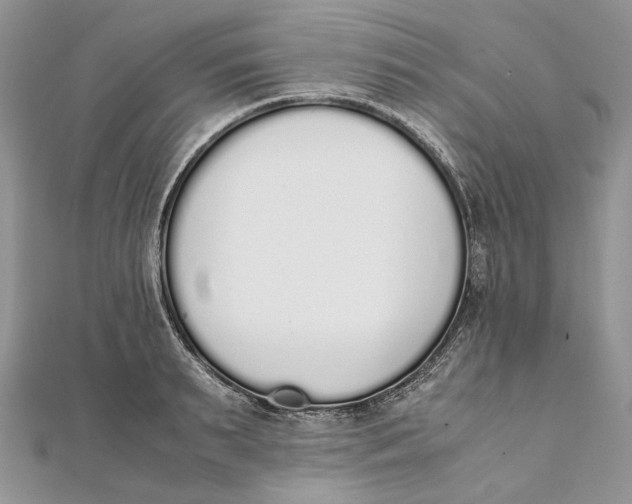 X0000111450895200908031411
