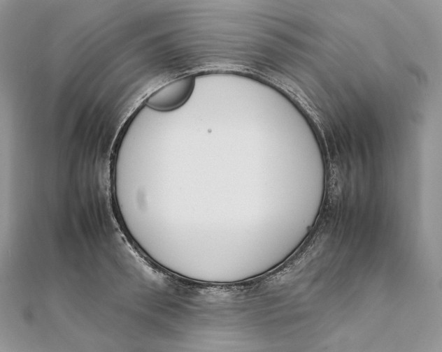 X0000111450898200908031411