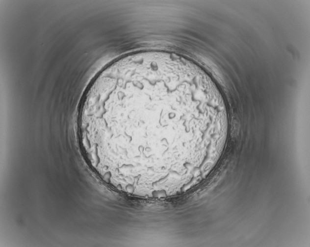 X0000111450899200908031411