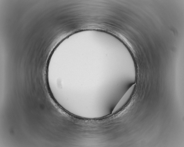 X0000111450901200908031411