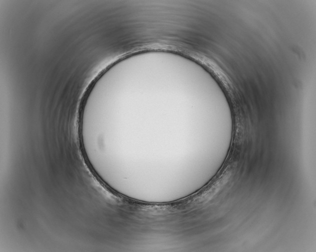 X0000111450902200908031411