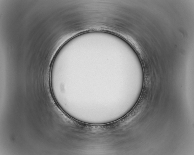 X0000111450903200908031411