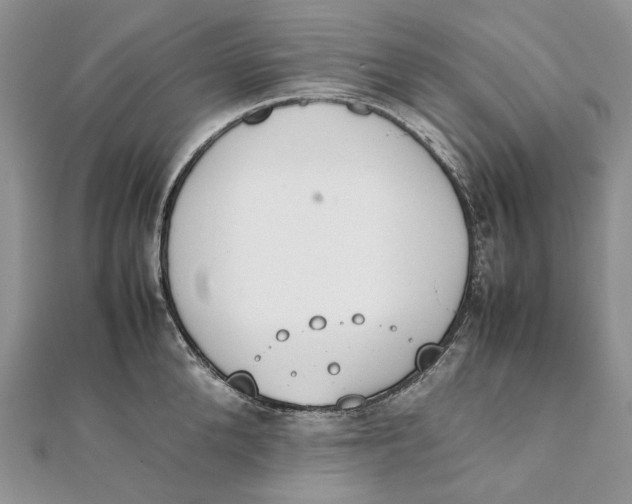 X0000111450904200908031411