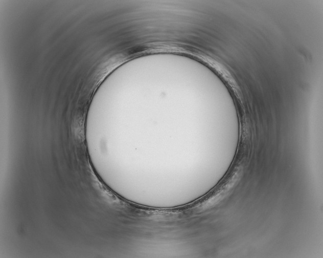 X0000111450905200908031411
