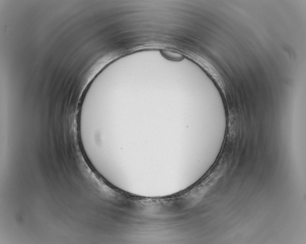 X0000111450906200908031411