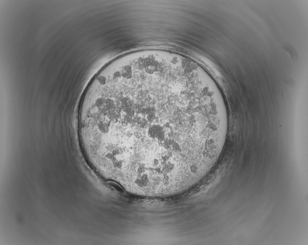 X0000111450907200908031411