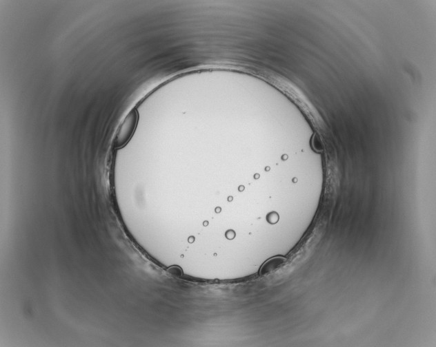 X0000111450908200908031411