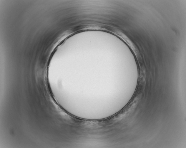 X0000111450909200908031411