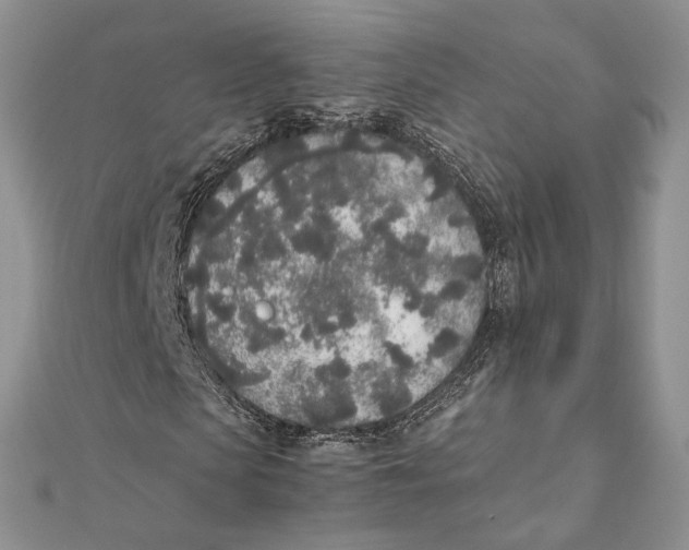 X0000111450913200908031410