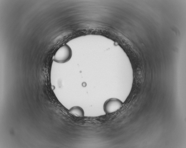 X0000111450918200908031410