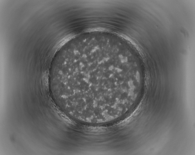 X0000111450921200908031410