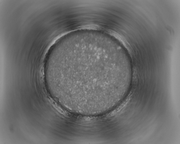 X0000111450923200908031410