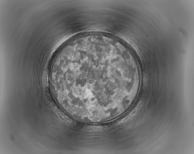 X0000111450925200908031410