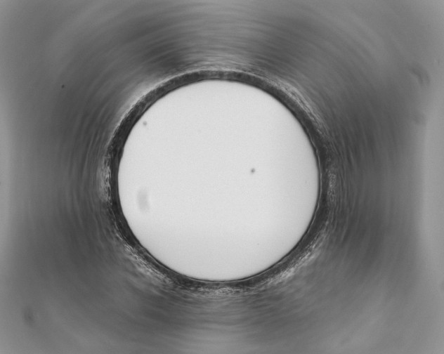 X0000111450926200908031410