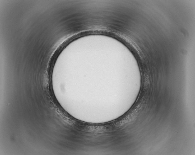 X0000111450927200908031410