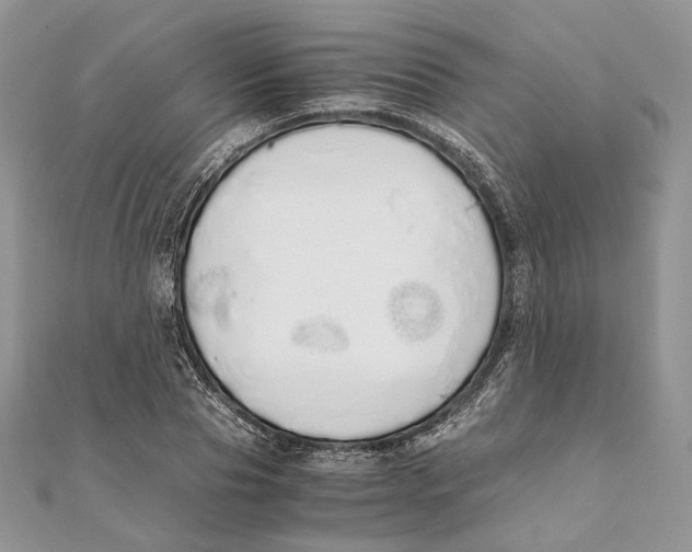X0000111450929200908031410