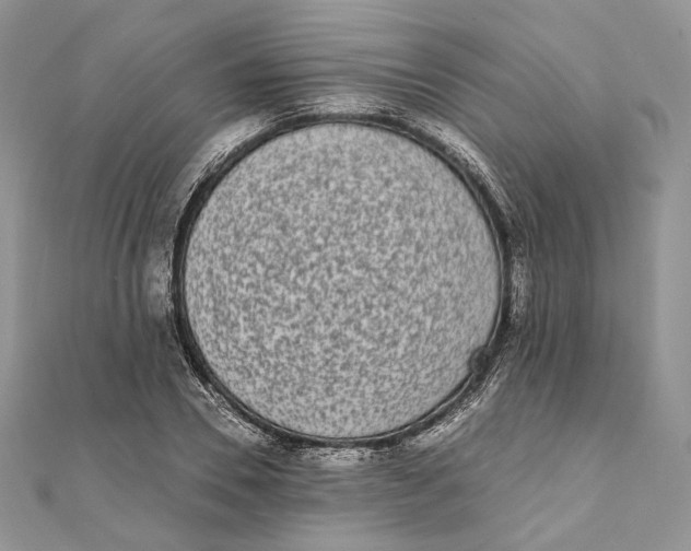 X0000111450930200908031410
