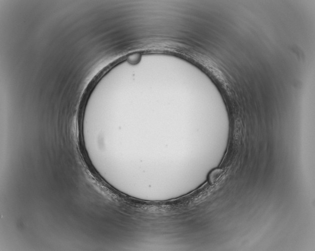 X0000111450936200908031411