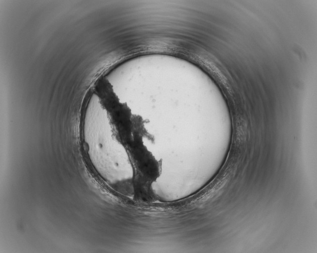 X0000111450938200908031411
