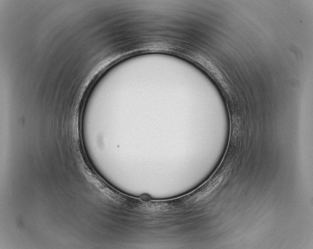X0000111450939200908031411
