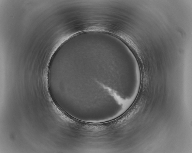 X0000111450941200908031411