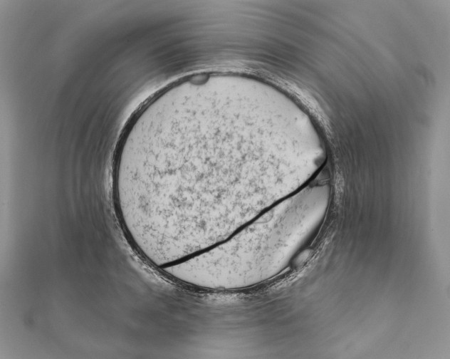X0000111450944200908031411