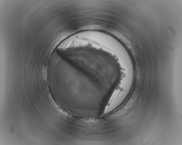 X0000111450945200908031411
