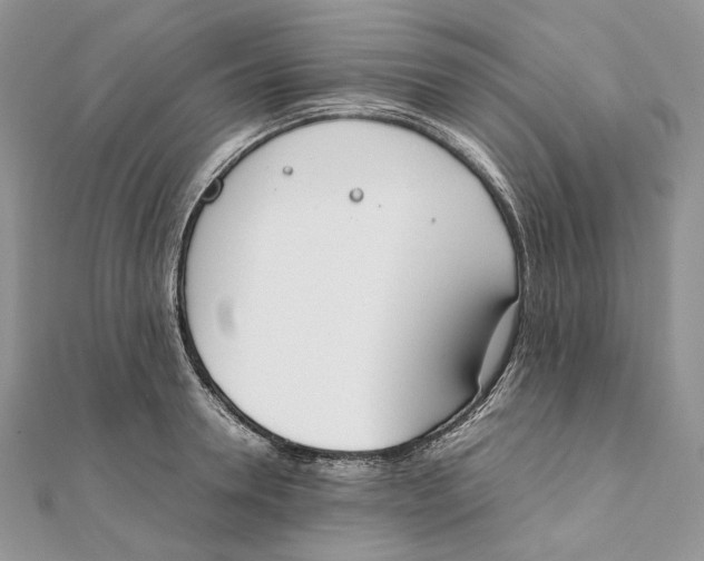 X0000111450946200908031411