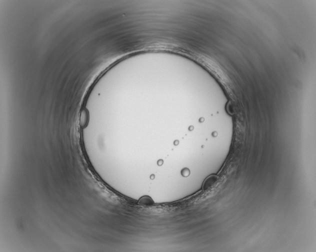 X0000111450948200908031411