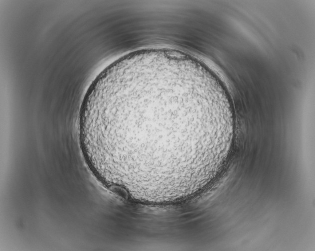 X0000111450951200908031411