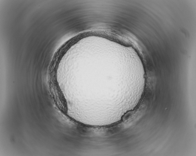 X0000111450952200908031411