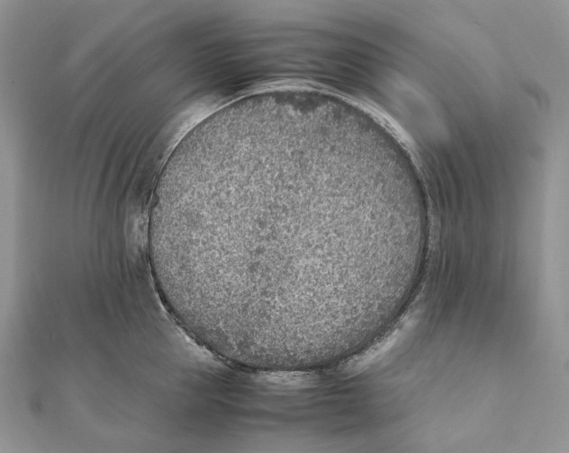 X0000111450953200908031411