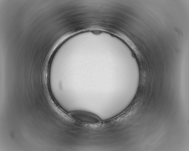 X0000111450955200908031411