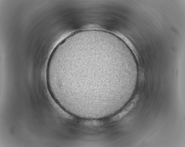 X0000111450957200908031411