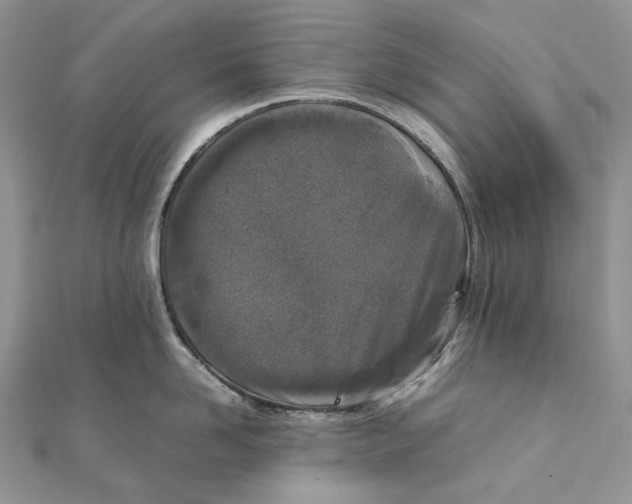 X0000111450958200908031411