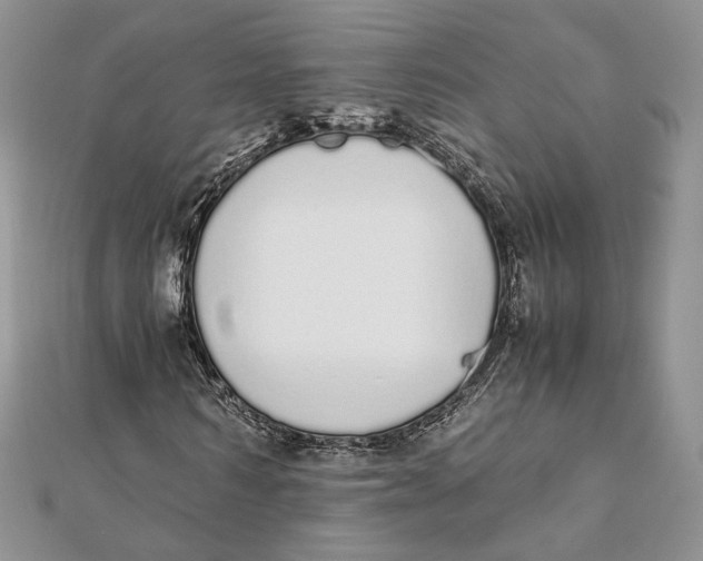 X0000111450962200908031410