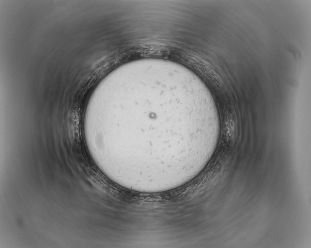 X0000111450964200908031410