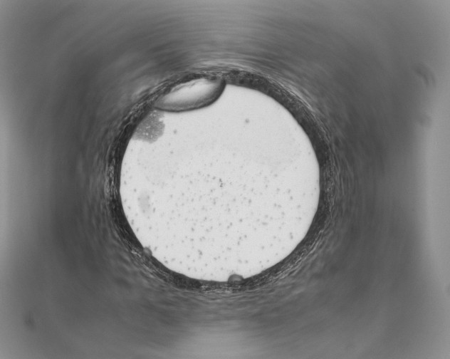 X0000111450965200908031410